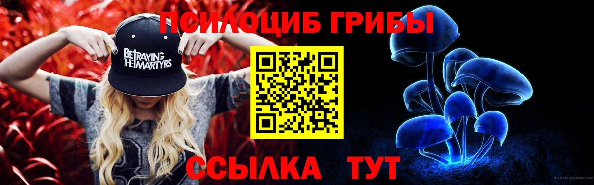 Псилоцибиновые грибы мицелий Губкин