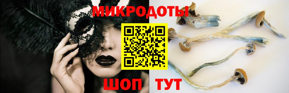 Псилоцибиновые грибы MAGIC MUSHROOMS  Вход с VPN  Губкин 